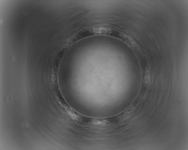 X0000074290569200608251347