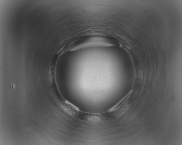 X0000074290572200608251347