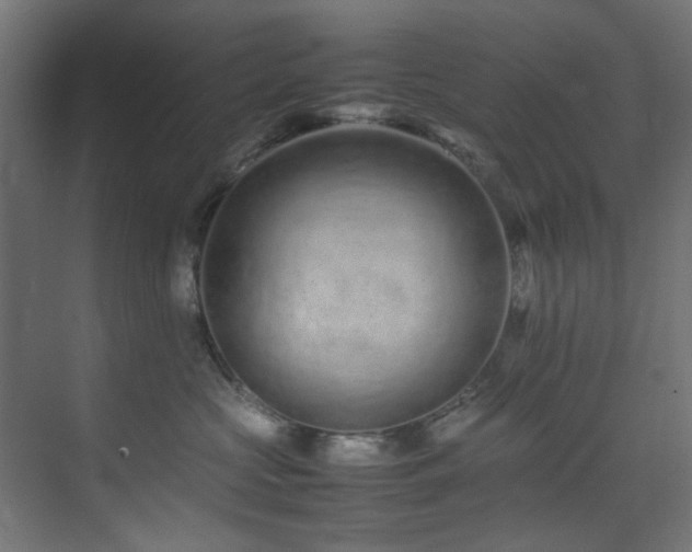 X0000074290573200608251347