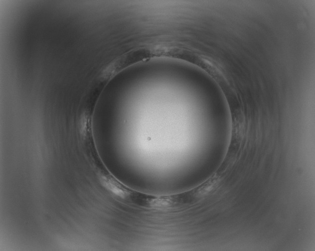 X0000074290574200608251347