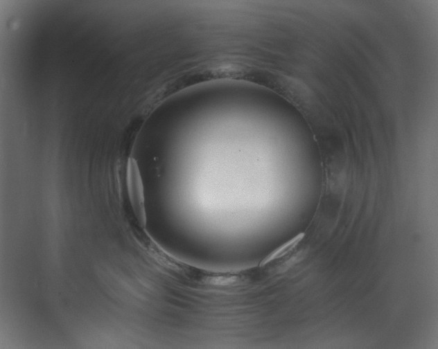 X0000074290575200608251347