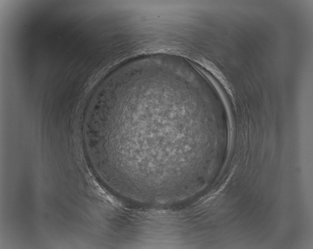 X0000074290577200608251346