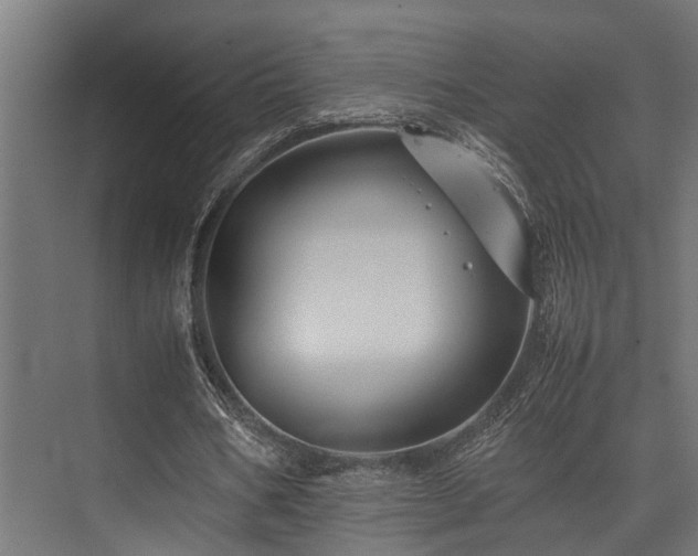 X0000074290578200608251346