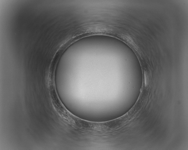 X0000074290579200608251346