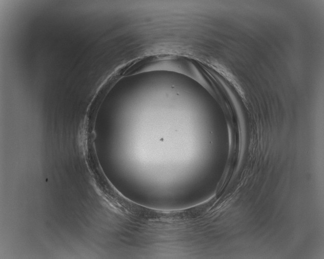 X0000074290580200608251346