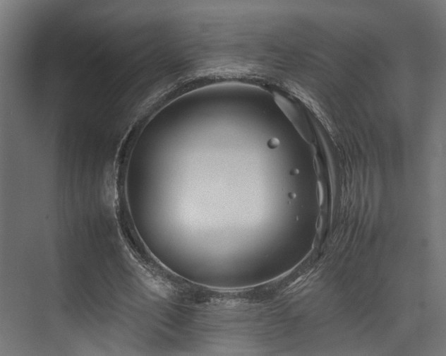 X0000074290582200608251346