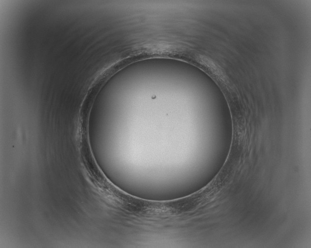 X0000074290583200608251346