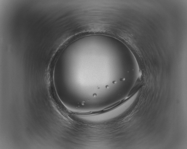 X0000074290584200608251346