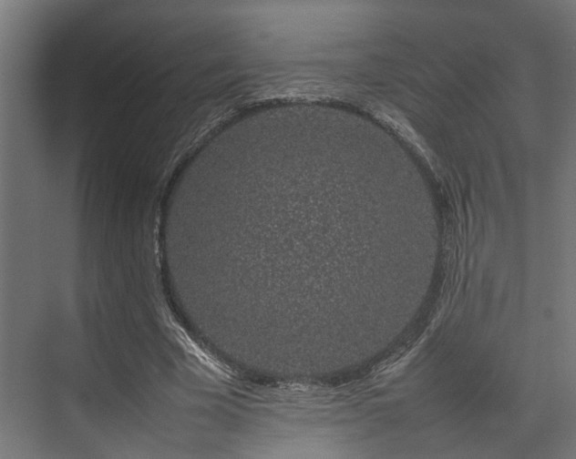 X0000074290585200608251346