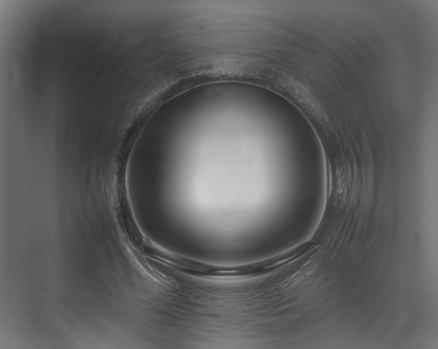 X0000074290588200608251346