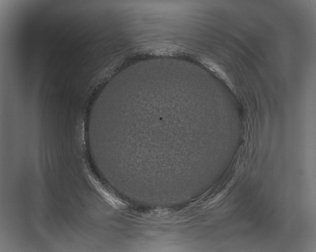 X0000074290589200608251346