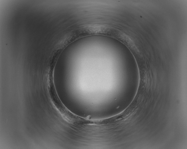 X0000074290590200608251346