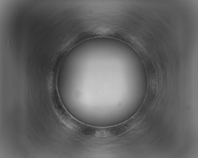 X0000074290591200608251346