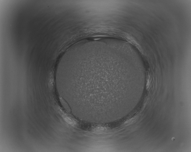 X0000074290593200608251346