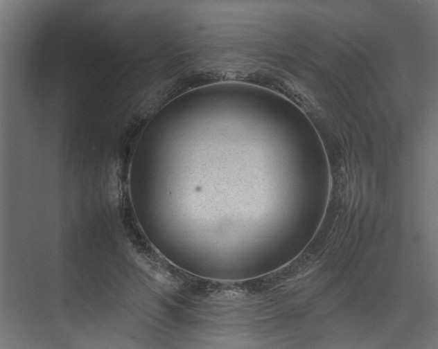 X0000074290594200608251346