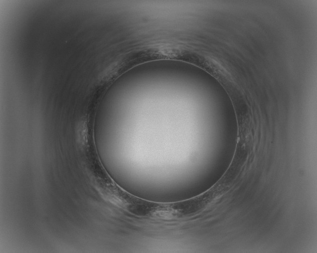 X0000074290595200608251346