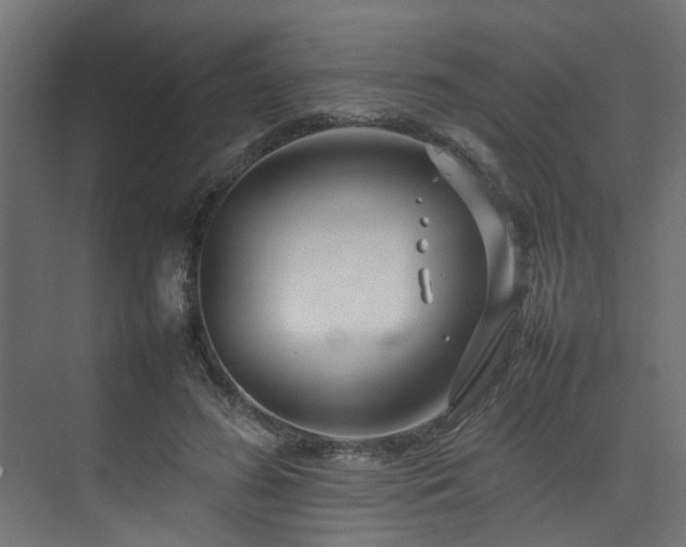 X0000074290596200608251346