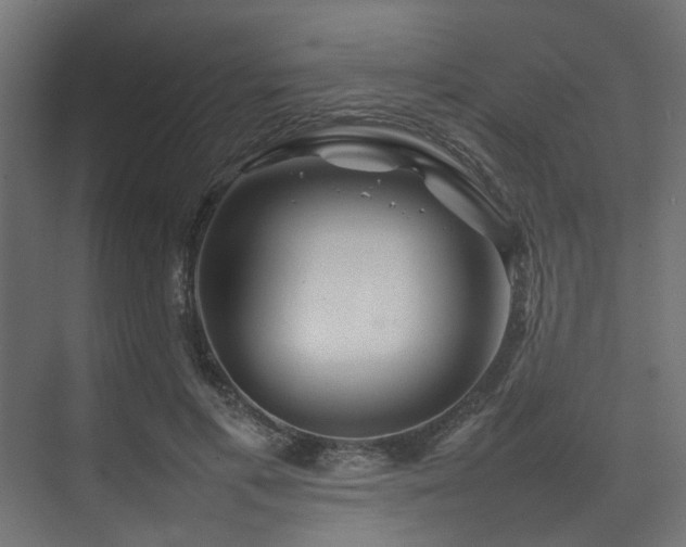 X0000074290597200608251346