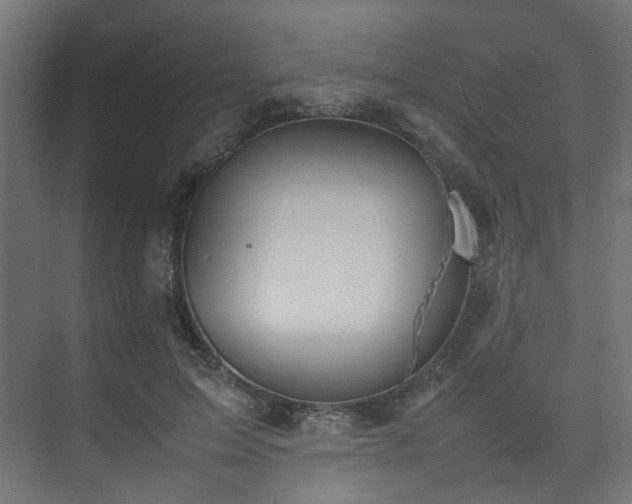 X0000074290599200608251346