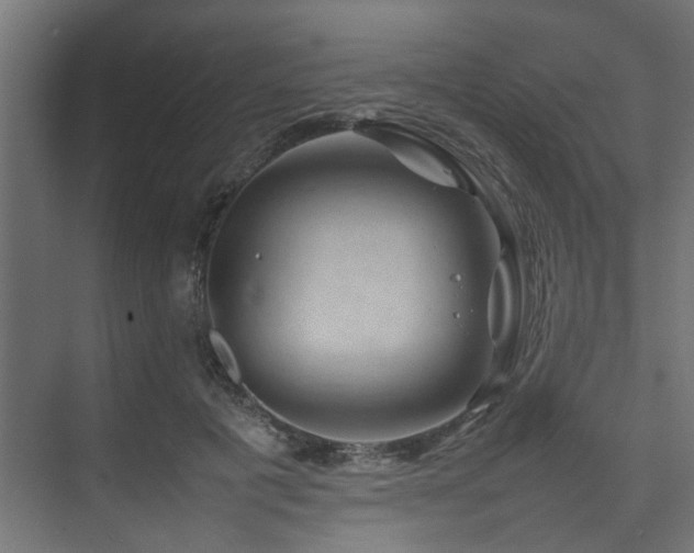 X0000074290601200608251346