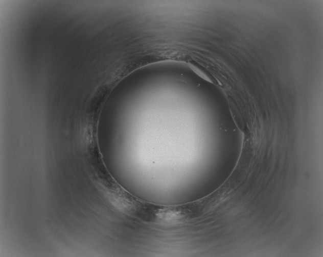 X0000074290602200608251346