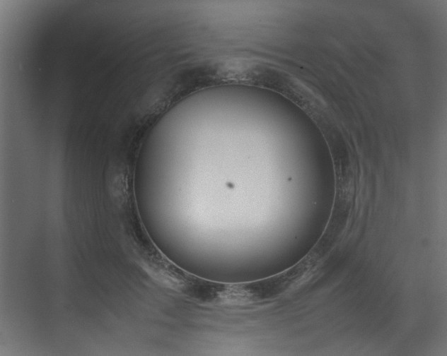 X0000074290603200608251346