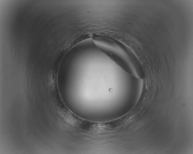 X0000074290607200608251346