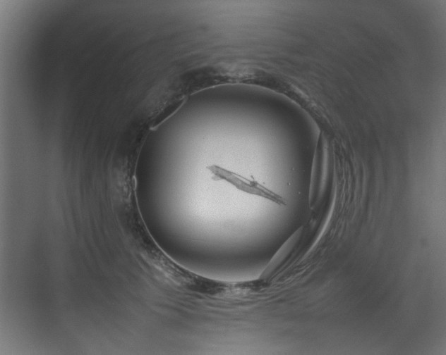 X0000074290609200608251346