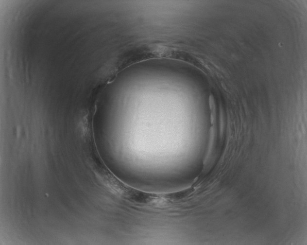 X0000074290611200608251346