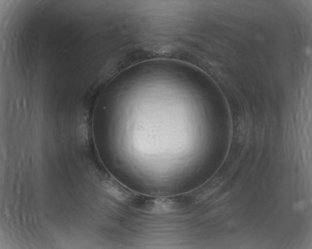 X0000074290612200608251346