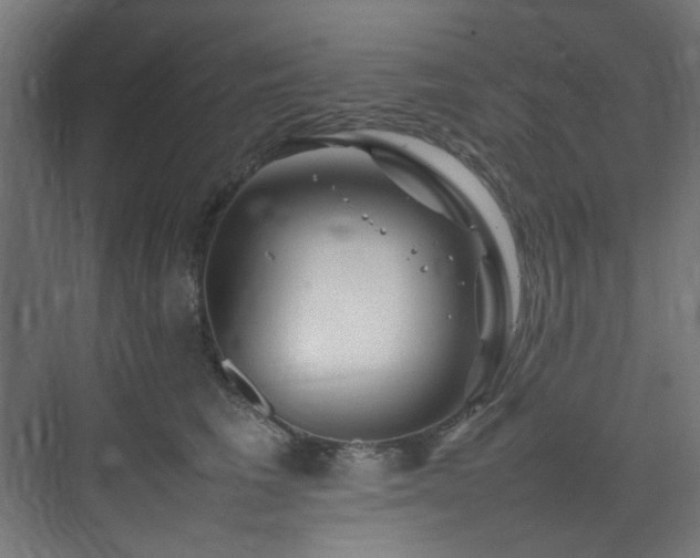 X0000074290613200608251346