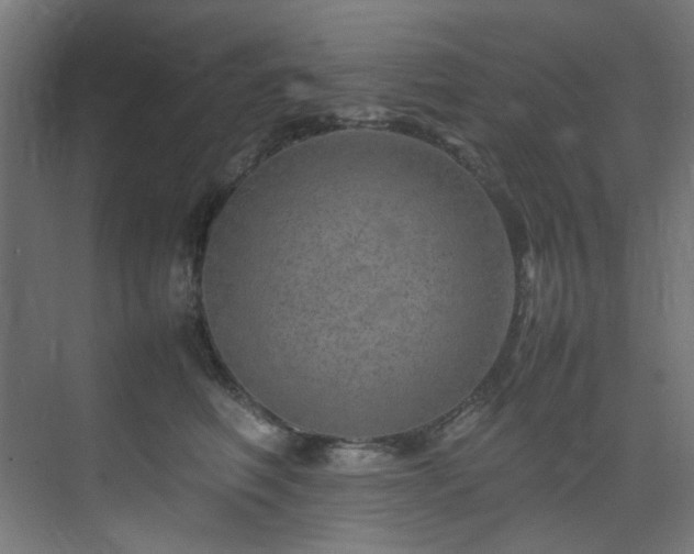 X0000074290614200608251346