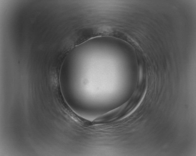 X0000074290617200608251346