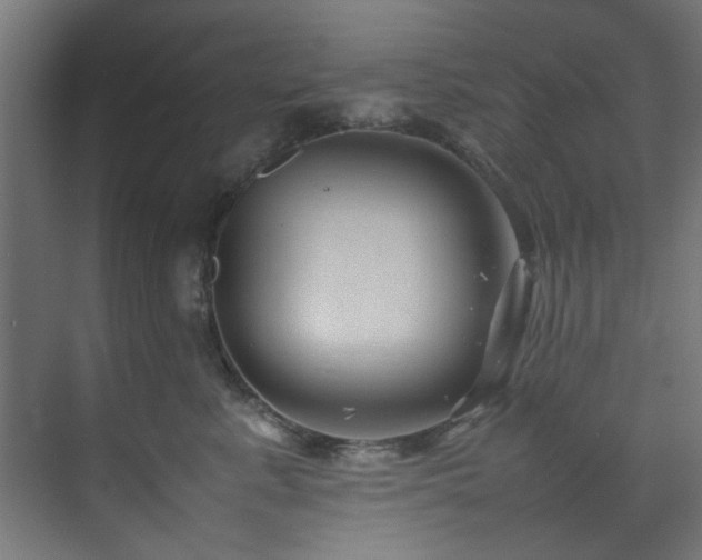 X0000074290619200608251346