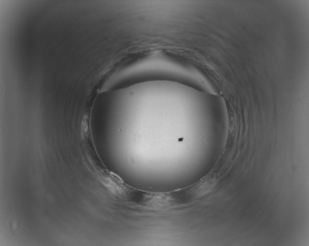 X0000074290621200608251346