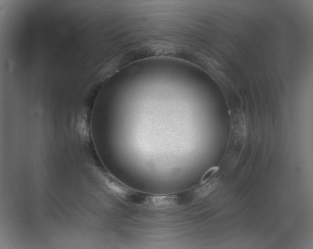 X0000074290622200608251346