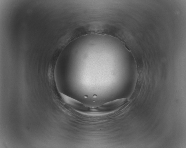 X0000074290623200608251346