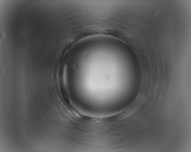 X0000074290624200608251346