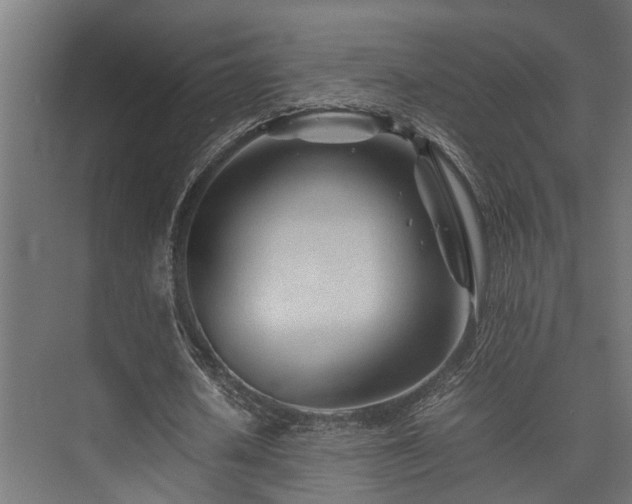 X0000074290626200608251345