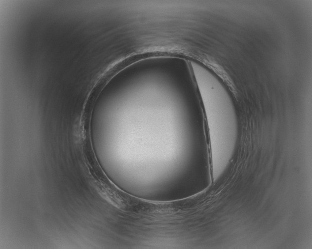 X0000074290628200608251345