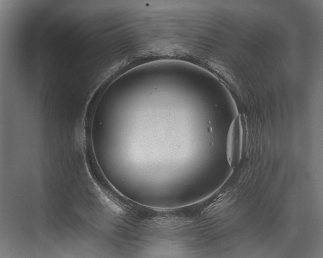 X0000074290630200608251345