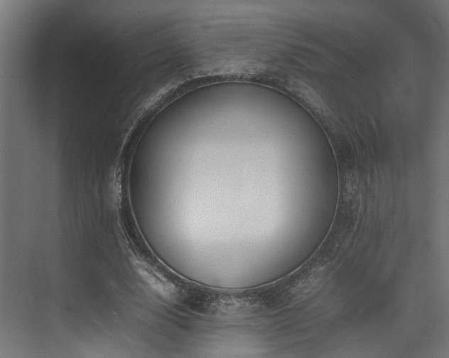 X0000074290632200608251345