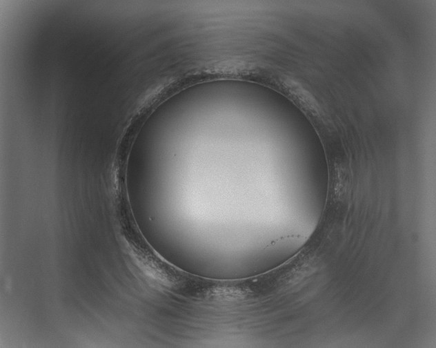 X0000074290636200608251345