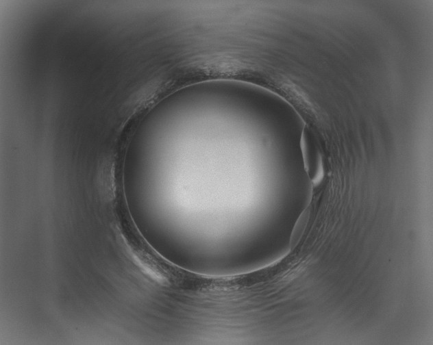 X0000074290638200608251345