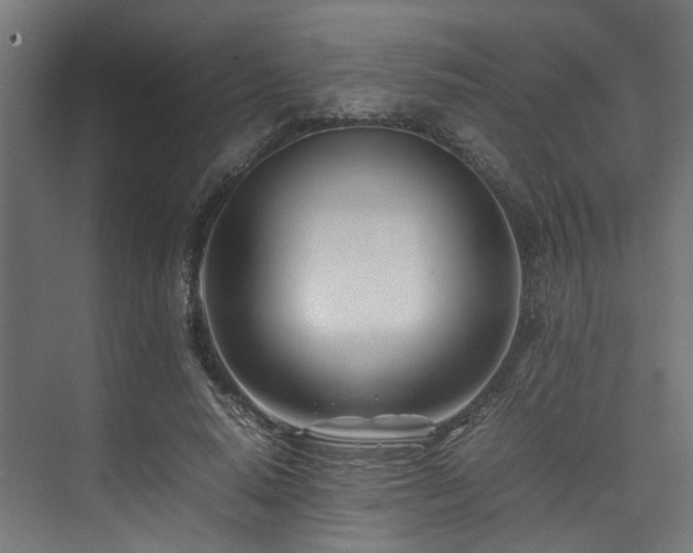 X0000074290640200608251345