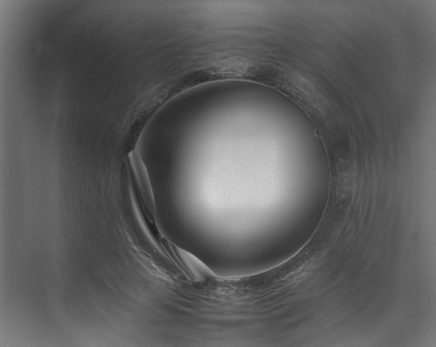 X0000074290641200608251345