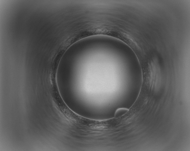 X0000074290643200608251345