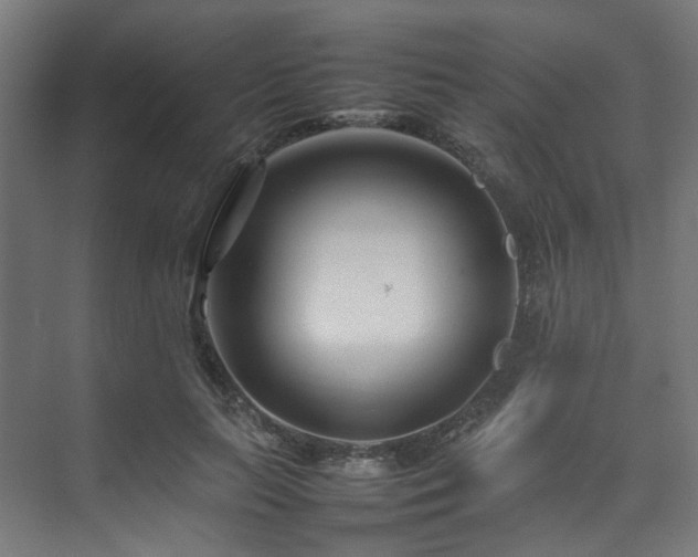 X0000074290647200608251345