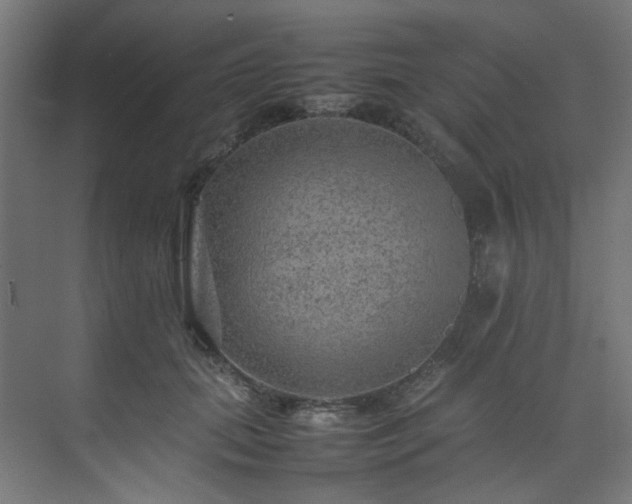 X0000074290655200608251345