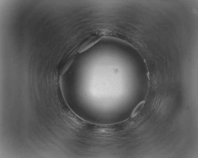 X0000074290657200608251345